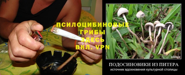 гашик Верея