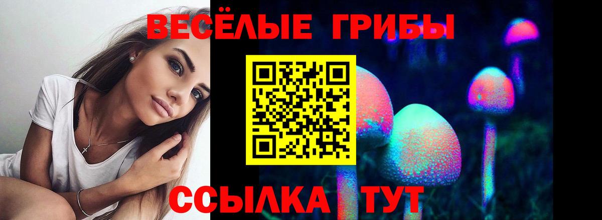 Выборг  Галлюциногенные грибы мицелий  Галлюциногенные грибы MAGIC MUSHROOMS  купить  сайты  Вход с VPN 